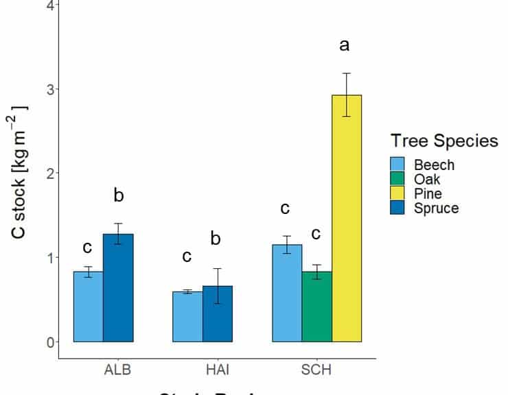 Picture: The diagram shows information on the residence time of the carbon stock in the organic layers of the investigated forest sites.