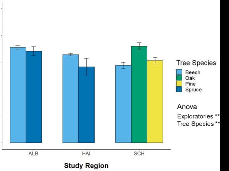 Picture: The diagram shows information on how carbon input from leaf litter and carbon stocks in the forest floor are influenced by region and tree species.