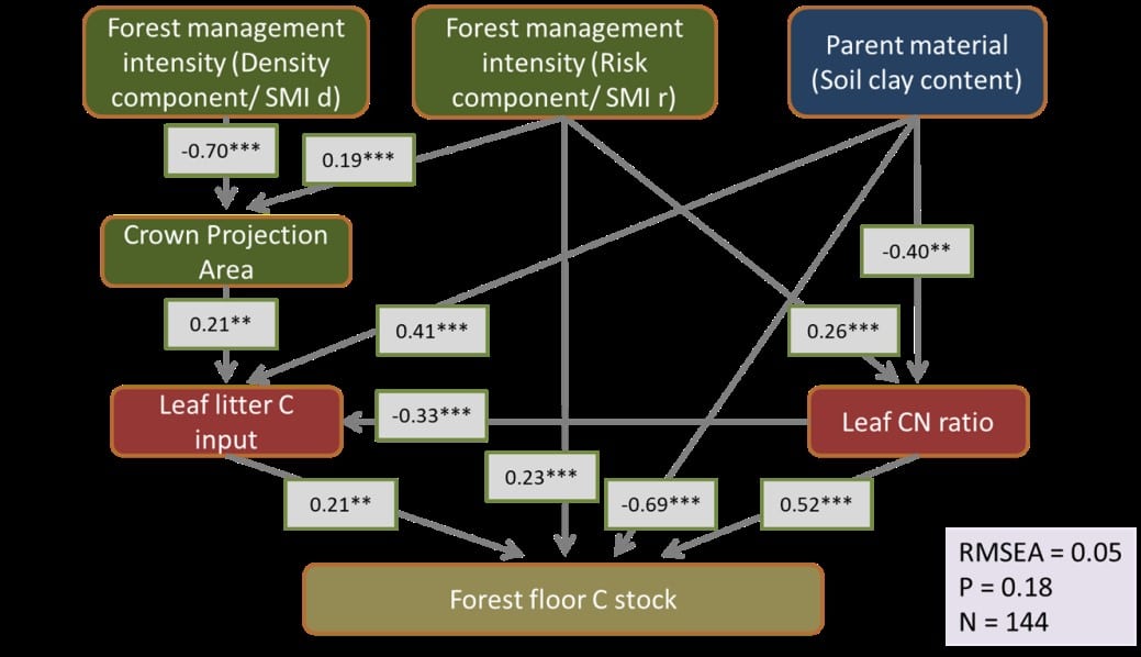 Picture: The diagram shows information on the influence of the timber harvest on the carbon stock of the forest.
