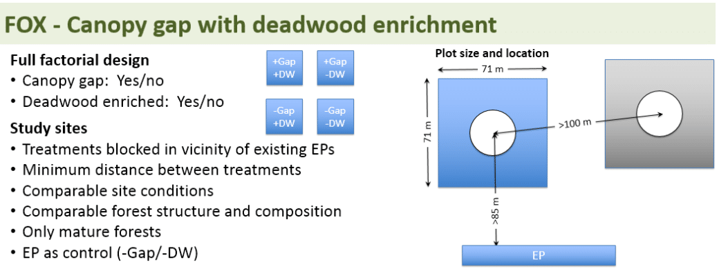 Abbildung: Das Schaubild zeigt Informationen zum Design des Wald-Experiments FOX.