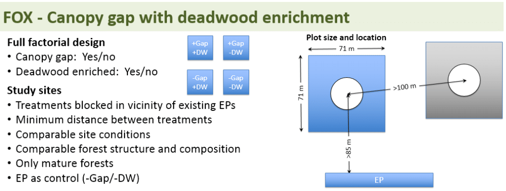 Picture: The diagram shows information on the design of the FOX forest experiment.