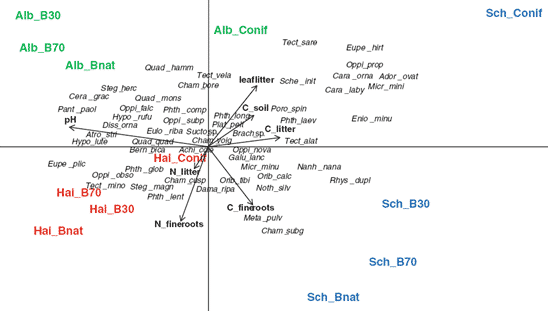 Abbildung: Die Grafik zeigt eine kanonische Korrespondenz-Analyse von Hornmilben-Arten in verschiedenen Wald-Typen der drei Exploratoriums-Regionen Schwäbische Alb, Hainich und Schorfheide.