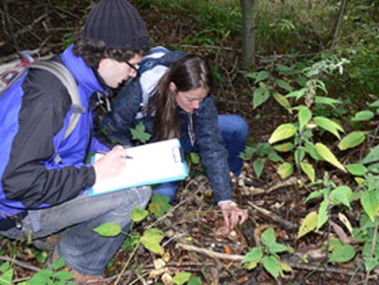 Picture: The photo shows a young female scientist squatting in the forest, picking a mushroom. Next to her squats a young scientist who has a clipboard with a form on his knee and holds a pen in his right hand.
