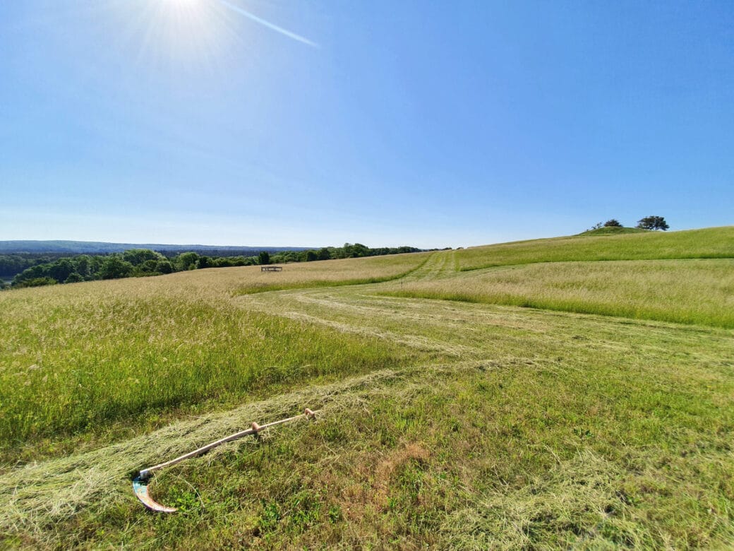 Illustration: The photo shows a meadow landscape in summer under a blue cloudless sky. Part of the meadow is mowed. In the foreground of the picture a scythe lies on mown grass. On the horizon forests can be seen.