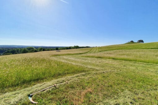 Illustration: The photo shows a meadow landscape in summer under a blue cloudless sky. Part of the meadow is mowed. In the foreground of the picture a scythe lies on mown grass. On the horizon forests can be seen.