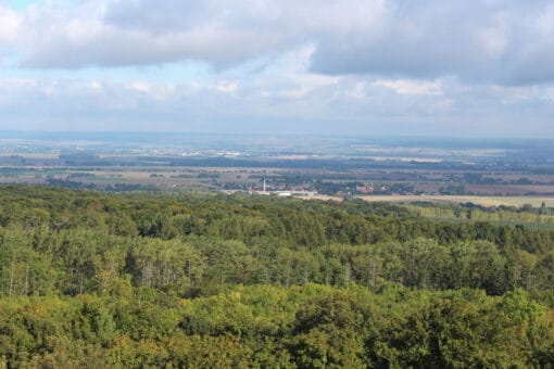 Abbildung: Das Foto zeigt die Landschaft des Hainich. Im Vordergrund ist ein Laubwald zu sehen, im Hintergrund Felder, Wiesen, Wälder und Bebauung.