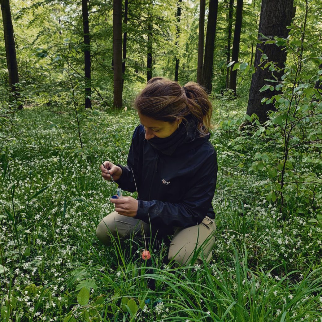 Picture: The photo shows in a shady forest in summer a young scientist squatting in the grass and putting a plant sample into a test tube.