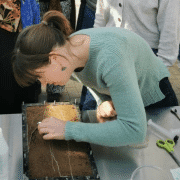 Dr. Maire Holz