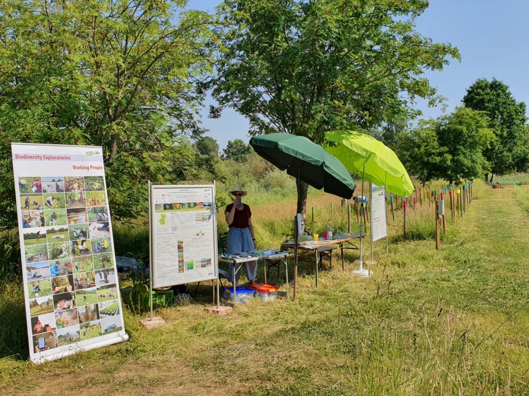 Concert in the midst of nature – Biodiversity Exploratories were there!