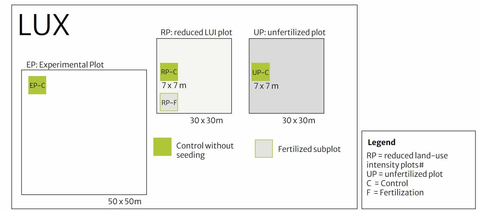 Picture: The graphic shows the schematic of the study design of the LUX land use experiment, showing the size ratios of an experimental plot to an extensification plot and an unfertilized plot.