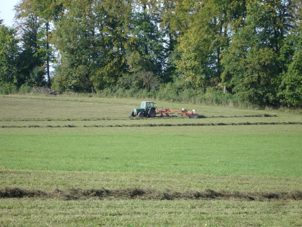 Picture: The photo shows a sunlit meadow with low grass. Further back in the meadow, a tractor with a plow attached can be seen at work. A row of large deciduous trees stretches along behind the meadow, with the sky shining through between their branches.
