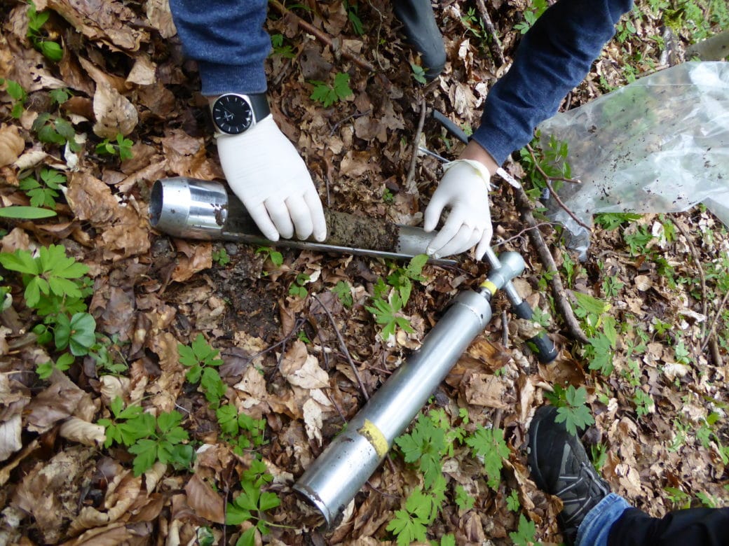 Abbildung: Das Foto zeigt auf einem Waldboden liegend einen Kernbohrstock und daneben den herausgenommenen Innenbehälter, der der Länge nach halbseitig offen ist und den Bohrkern enthält. Über dem Behälter sieht man die behandschuhten Hände eines Wissenschaftlers kurz vor der Entnahme des Bohrkerns. Rechts von dem Wissenschaftler befindet sich ein transparenter Probenbeutel.