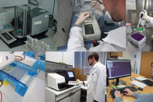 Picture: The collage contains six photographs of steps in molecular analyses in a laboratory, performed by a scientist. Photo 1 shows a sample standardization device. Photo 2 shows the scientist working on a polymerase chain reaction device. Photo 3 shows the scientist using an electronic pipette to fill a sample into a micro-reaction tube. Photo 4 shows an Illumina MiSeq sequencer. Photo 5 shows the scientist working on a bioinformatics quality control device. Photo 6 shows the scientist at a desk in front of a computer making inputs for assignment.