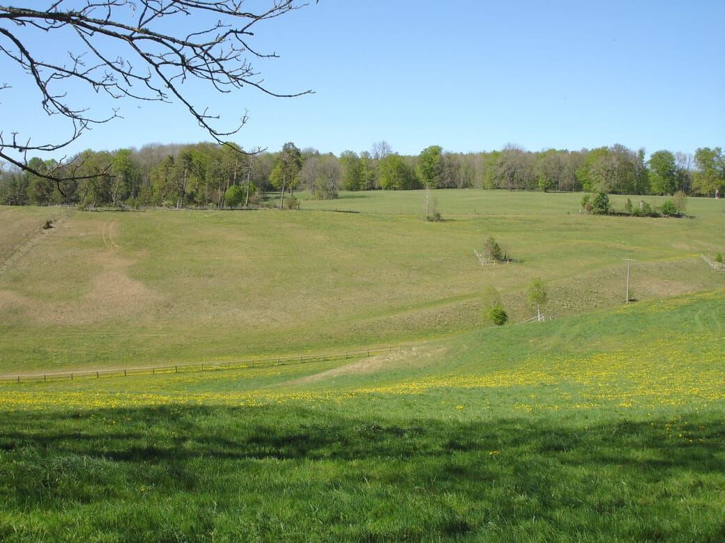 Abbildung: Das Foto zeigt im Frühling unter blauem Himmel eine sonnenbeschienene hügelige Wiesenlandschaft mit niedrigem Gras. Im Hintergrund ist ein Wald mit Laubbäumen zu sehen.