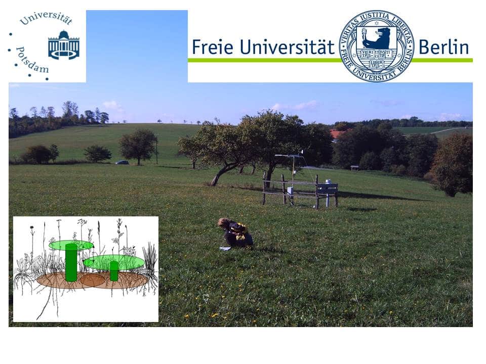 Picture: The collage contains three graphics and a photo. Graphic 1 shows the logo of the University of Potsdam. Graphic 2 shows the logo of the Free University of Berlin. Graphic 3 illustrates the spread of herbaceous roots. The photo shows a young female scientist squatting under a blue sky on a summer meadow, looking at a document lying on the ground in front of her. Behind her, a fenced measuring station, individual trees as well as groups of trees and further hilly meadows can be seen.