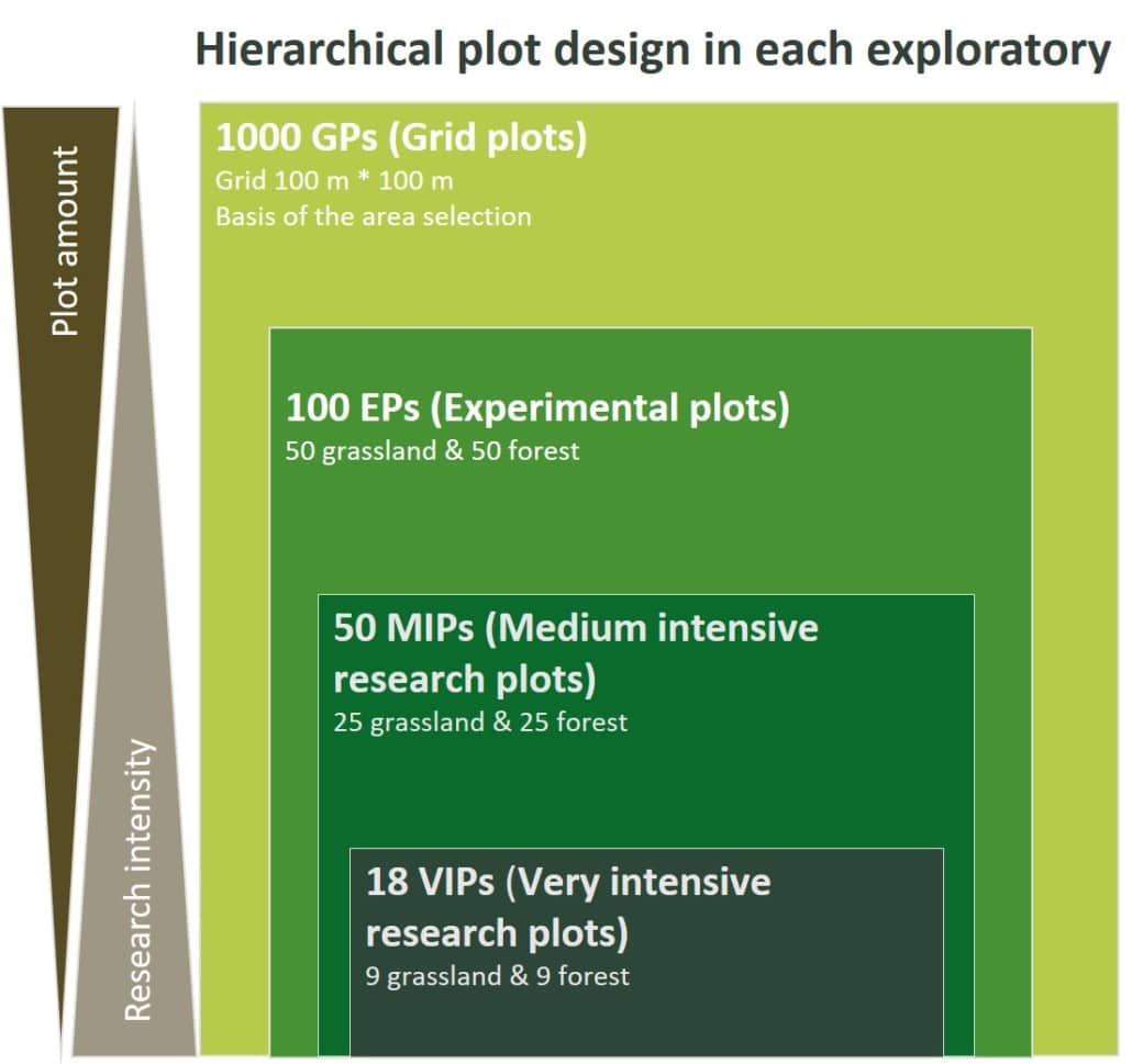 Picture: the graph shows the number and types of the four plot categories in each Exploratory. category 1 comprises 1000 grid plots with a grid of 100 by 100 meters as the basis of plot selection. category 2 comprises 100 experimental plots, of which 50 are in grassland and 50 in forest. category 3 comprises 50 plots of medium research intensity, of which 25 are in grassland and 25 in forest. category 4 comprises 18 plots of high research intensity, of which 9 are in grassland and 9 in forest.