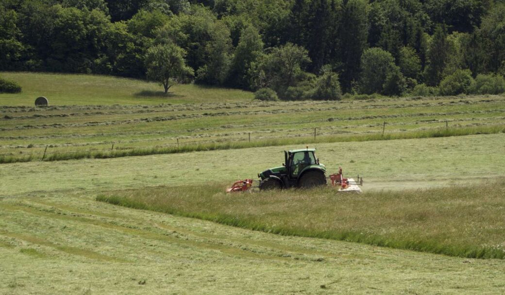 Gut und schön: Biodiversität von Wiesen- und Weideflächen kann Gewinn für Natur, Landwirtschaft und Tourismus sein