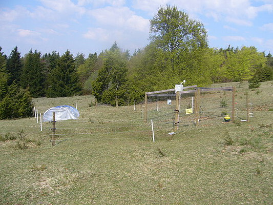 Picture: The photo shows the fenced area of a plot in the Exploratory Swabian Alb on a meadow in spring under a blue sky with clouds. At the back left of the plot, a light-coloured foil can be seen covering something. In front on the right, there is a fenced climate measuring station. Behind the plot, small groups of trees and a forest can be seen.