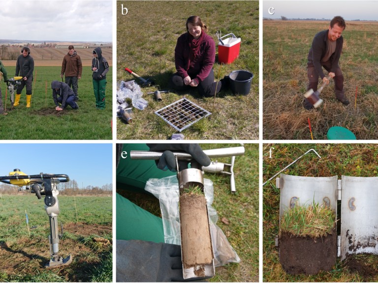 Picture: The collage includes six photos of the Resoilience Project's fieldwork. Photo 1 shows five male students in a field working at soil sampling sites. Photo 2 shows research assistant Katharina John kneeling on the ground working at a sampling site. Photo 3 shows research assistant Dennis Baulechner swinging a hammer. Photo 4 shows a vibratory tamper. Photo 5 shows a cylindrical 5-centimeter-diameter drill core in the opened soil sampling container of a core drill. Photo 6 shows a cylindrical twenty-centimeter-diameter drill core in the opened soil sampling container of a core drill.