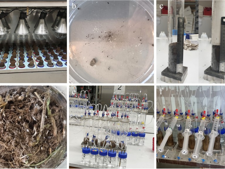 Picture: The collage shows six photos of the laboratory work of the Resoilience Project. Photo 1 shows soil cores in extractors, photo 2 shows a dish with extracted mesofauna, photo 3 shows defaunated soil cores in microcosms, photo 4 shows live extracted soil-dwelling invertebrates, photo 5 shows laboratory equipment of the microcosm experiment installation, and photo 6 shows laboratory equipment of the trace gas release measurement installation.