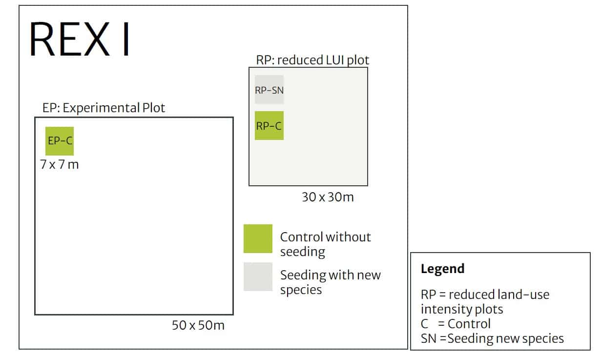 Picture: The graphic shows the schematic of the study design of the REX 1 extensification experiment, showing the size ratios of an experiment plot to an extensification plot.