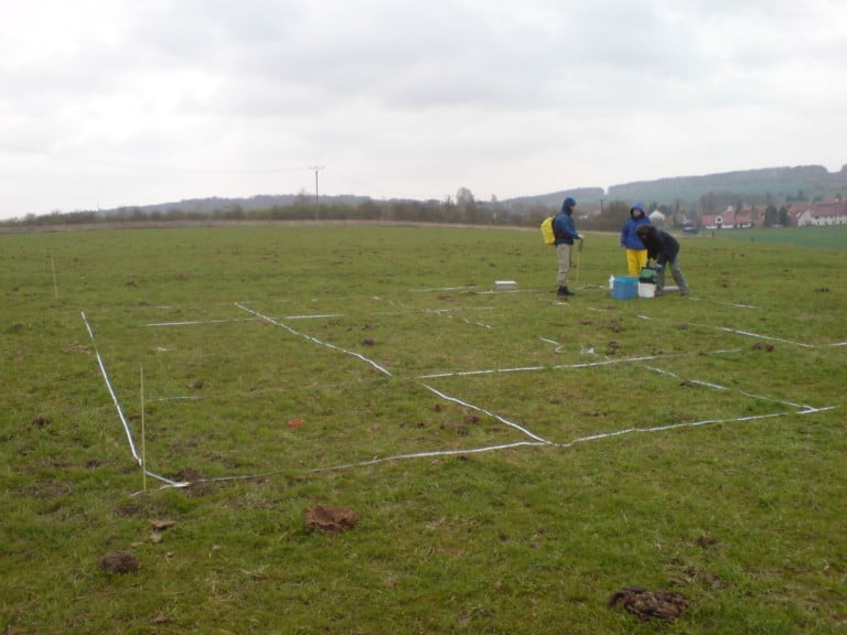 Picture: The photo shows a meadow in cloudy weather, on which a square sampling grid of three by three areas has been laid out by means of white marking strips. At the back of the grid, three people in rain protective clothing are standing. In front of them, containers with working materials are placed on the grass. In the background, rows of shrubs and trees, a settlement and wooded hills can be seen.