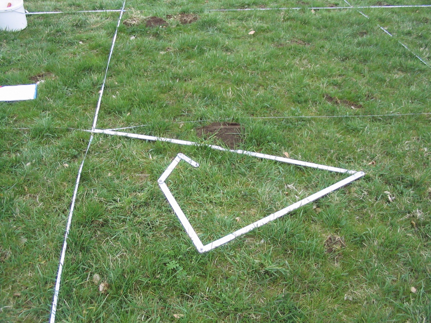 Abbildung: Das Foto zeigt eine niedrig mit Gras bewachsene Wiese, auf der mit weißen Bändern quadratische Bereiche markiert sind.