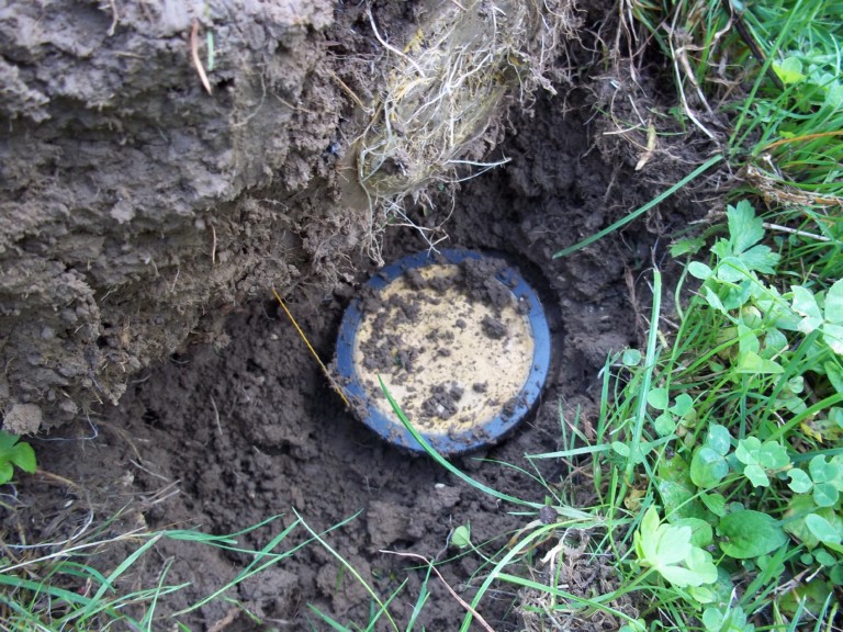 Abbildung: Das Foto zeigt auf einer Wiese neben einem Klumpen ausgehobener Erde eine Vertiefung im Boden, in der ein flacher runder Mineral-Container liegt.