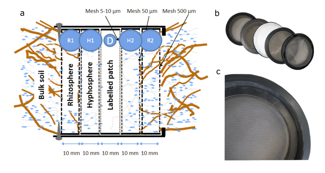 Abbildung: Die Collage enthält eine Zeichnung und zwei Fotos. Die Zeichnung zeigt das Schema einer sogenannten Hypho-Box, die während des Experiments im Boden eingebracht wird und die Hypho-Sphäre von der Rizo-Sphäre trennt. Die Box besteht aus fünf vertikal angeordneten zehn Millimeter dicken Kompartimenten, also durch Membranen abgeteilten Bereichen. Die beiden außenliegenden Bereiche sind zugänglich für die Rizo-Sphäre, die beiden dahinter liegenden Bereiche für die Hypo-Sphäre. Im Bereich in der Mitte befindet sich ein Markierungs-Kompartiment. Foto 1 zeigt die fünf Kompartimente mit Gazen in unterschiedlichen Maschenweiten. Die außenliegenden Kompartimente sind schwarz, das mittlere mit der Beschriftungsfläche ist weiß. Foto 2 zeigt eine Nahaufnahme des Rizo-Sphären-Kompartiments.