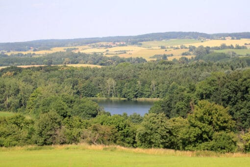 Abbildung: Das Foto zeigt eine sommerliche Hügellandschaft mit Wiesen, Feldern und Wäldern. Im Vordergrund ist zwischen Laubbäumen ein See zu sehen.