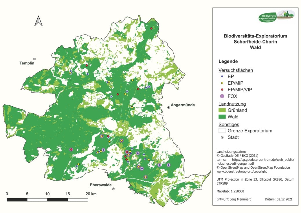 Abbildung: Die Karte zeigt die Grünland- und Waldflächen des Gebiets Schorfheide Chorin. Die Positionen der Wald-Versuchsflächen der Biodiversitäts-Exploratorien sind mit kleinen farbigen Kreisen markiert.