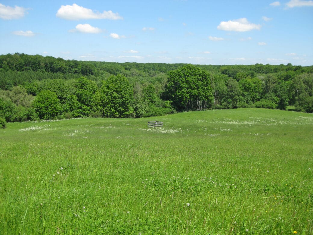 Figure: The photo shows a hilly landscape with a meadow and a deciduous forest under a blue sky in spring.