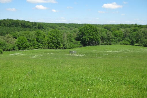 Abbildung: Das Foto zeigt im Frühling unter blauem Himmel eine hügelige Landschaft mit einer Wiese und einem Laubwald.