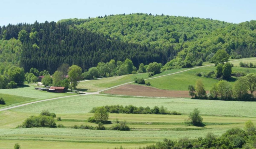 In grassland, the surrounding environment is important for below-ground biodiversity