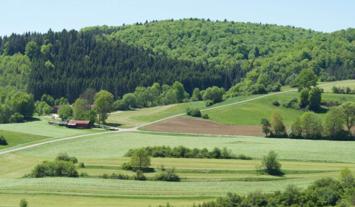 Für die unterirdische biologische Vielfalt kommt es im Grünland auf die Umgebung an