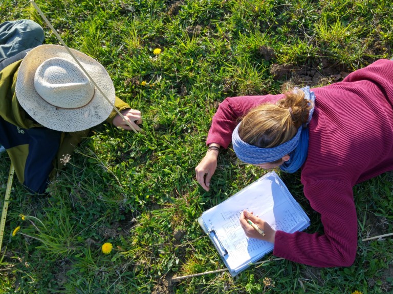 Picture: The photo shows, photographed from above, two young female scientists on the right and left of the picture, lying on a sunlit meadow and busy with the determination of seedlings. The female scientist on the right is noting something on paper in a clipboard lying on the ground in front of her. In front of the head of the female scientist on the left, a thin marking stick is stuck in the ground, next to her lies an unfolded folding ruler.