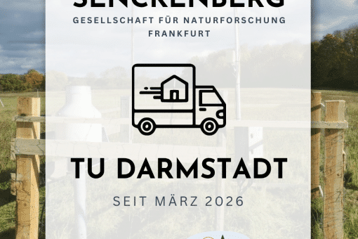 Ein neues Kapitel für die Biodiversitäts-Exploratorien