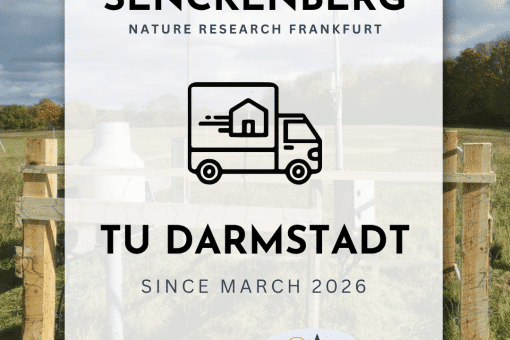 A new chapter for the Biodiversity Exploratories