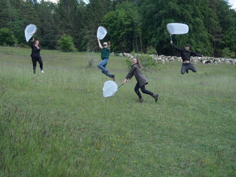 Picture: The photo shows the good-humoured scientists of the project team jumping around in a meadow with insect catching quivers in their hands.