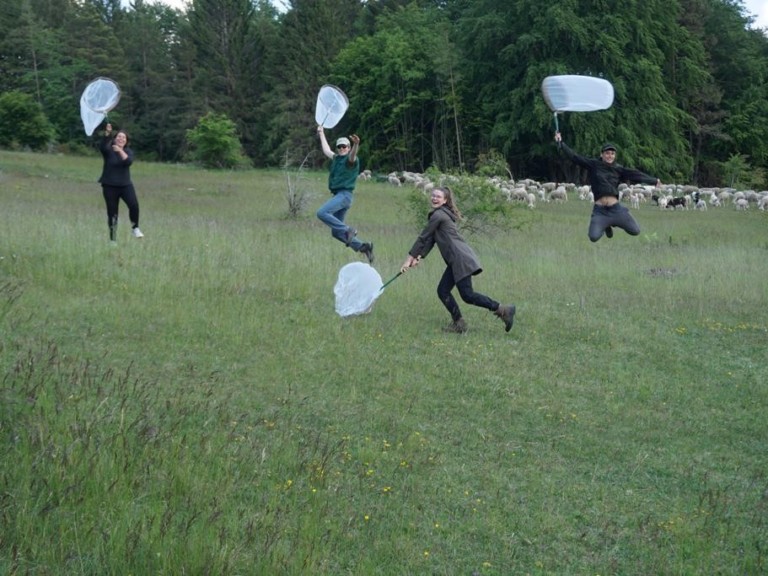 Abbildung: Das Foto zeigt die gutgelaunten Wissenschaftlerinnen und Wissenschaftler des Projekt-Teams, wie sie mit Insekten-Fangköchern in den Händen auf einer Wiese herumspringen.