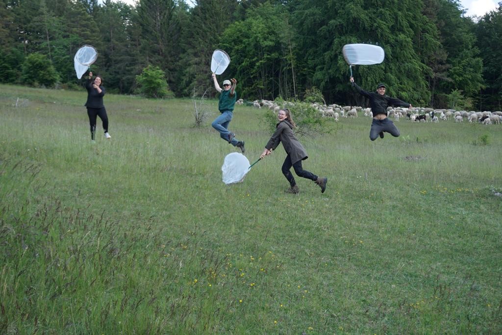 Picture: The photo shows the good-humoured scientists of the project team jumping around in a meadow with insect catching quivers in their hands.