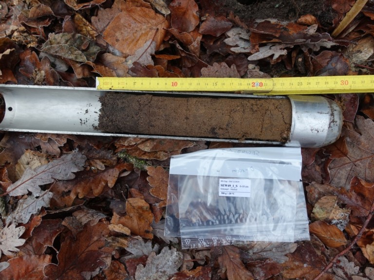 Picture: The photo shows a metal cylinder used for taking soil samples. The cylinder lies on the forest floor, which is covered with brown beech and oak leaves. The cylinder is closed all around only at one end and is otherwise open halfway along its length. Inside the cylinder is a soil sample of brown soil twenty-three centimetres long. Next to the cylinder are a yellow folding ruler and an empty sample bag made of transparent plastic for estimating the length.