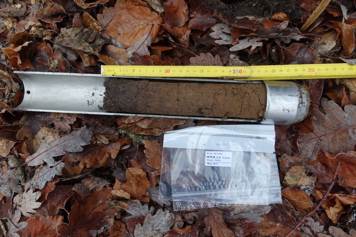 Picture: The photo shows a metal cylinder used for taking soil samples. The cylinder lies on the forest floor, which is covered with brown beech and oak leaves. The cylinder is closed all around only at one end and is otherwise open halfway along its length. Inside the cylinder is a soil sample of brown soil twenty-three centimetres long. Next to the cylinder are a yellow folding ruler and an empty sample bag made of transparent plastic for estimating the length.