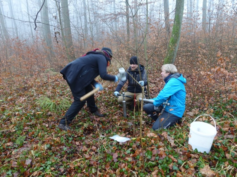 Picture: The photo shows a young female scientist and two young male scientists taking soil samples in a foggy winter forest. The woman is hitting the impact head of an earth drill stick with a polyamide hammer to drive it into the ground. One of the men is kneeling behind the drill stick, holding it with one hand by one of the two handles. The other man is kneeling next to it, holding another drill stick on his knees. Next to him is a white plastic bucket.