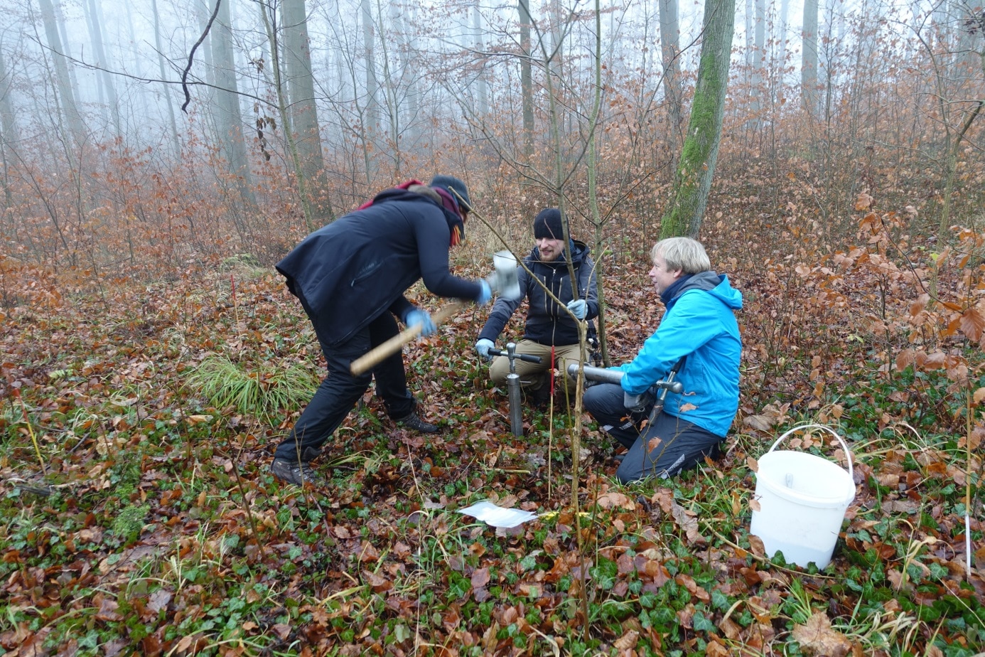 Picture: The photo shows a young female scientist and two young male scientists taking soil samples in a foggy winter forest. The woman is hitting the impact head of an earth drill stick with a polyamide hammer to drive it into the ground. One of the men is kneeling behind the drill stick, holding it with one hand by one of the two handles. The other man is kneeling next to it, holding another drill stick on his knees. Next to him is a white plastic bucket.