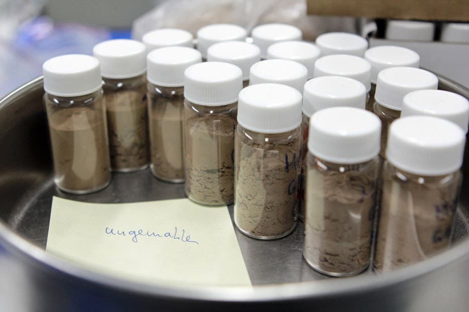 Picture: The photograph shows a round tall metal tray on a laboratory bench containing twenty-one cylindrical small glass or plastic containers with white screw caps. The containers are filled with soil samples. Next to the containers in the tray is a slip of paper with the word "unground" handwritten on it.