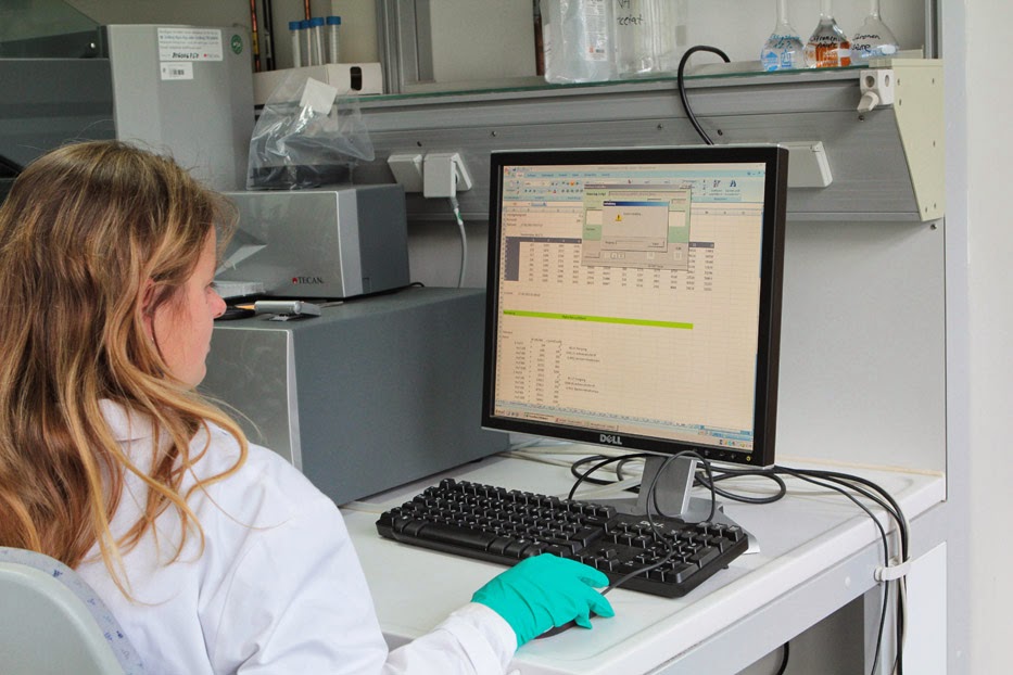 Abbildung: Das Foto zeigt eine Wissenschaftlerin im Labor bei der Durchführung einer Enzym-Analyse an einem Computer-Arbeitsplatz.