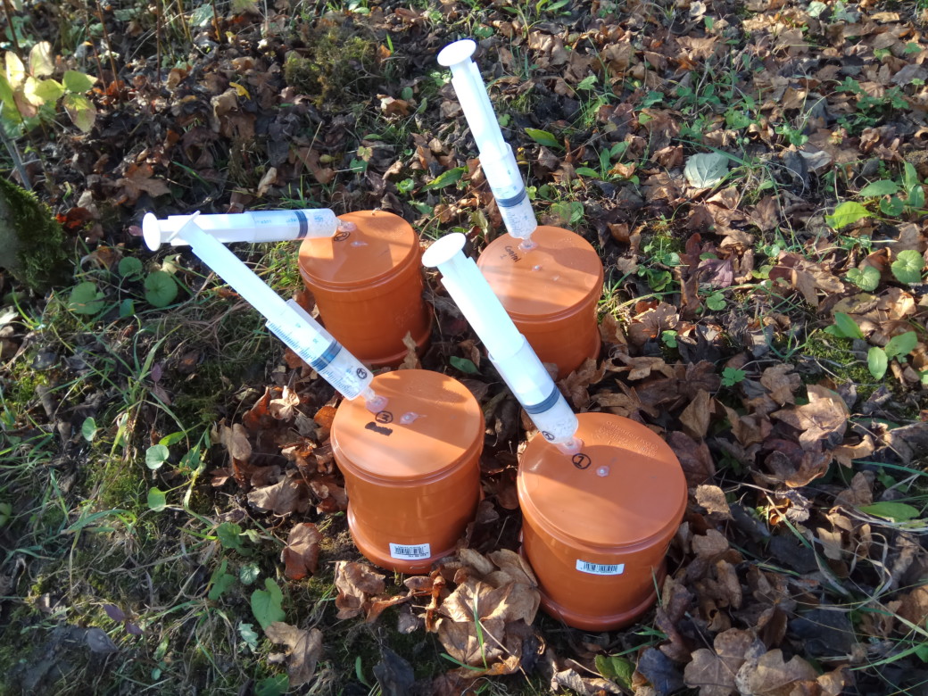 Abbildung: Das Foto zeigt einen Waldboden, auf dem vier Soda-Leim-Fallen aufgestellt sind. Bei den Fallen handelt es sich um geschlossene zylinderförmige Behälter in der Größe von kleinen Blumentöpfen. In jedem Behälter gibt es eine kleine Öffnung auf der Oberseite, in der eine halb durchgedrückte Spritze steckt.