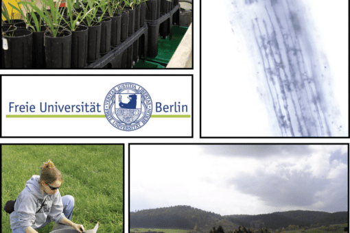 Picture: The collage contains the logo of Freie Universität Berlin and four photos. Photo 1 shows several rows of cylindrical black plastic containers in a greenhouse, each containing a single plant. Photo 2 shows the macro-image of the blue-grey appearing structure of an elongated part of a plant against a white background. Photo 3 shows a squatting young scientist on an unmown meadow, sifting soil in a large metal sieve. Underneath the sieve is a foil to collect the sieved material. Photo 4 shows a mown meadow on a slope. There is a fenced climate measuring station in the meadow, with a small group of shrubs and trees behind it. In the background of the picture are more meadows, groups of trees and on the horizon wooded hills under a cloudy sky.