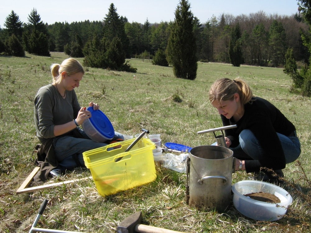 Picture: The photo shows a meadow in the Exploratory Hainich-Dün with conifers in the background. In the foreground, two young female scientists are busy taking samples of soil fauna. The woman on the left of the picture is labelling a round plastic container that contains soil. The woman on the right is handling an earth boring stick. In addition, other round plastic containers, a yellow plastic box with tools, a large hammer, the handle of an earth boring stick and a metal bucket can be seen.